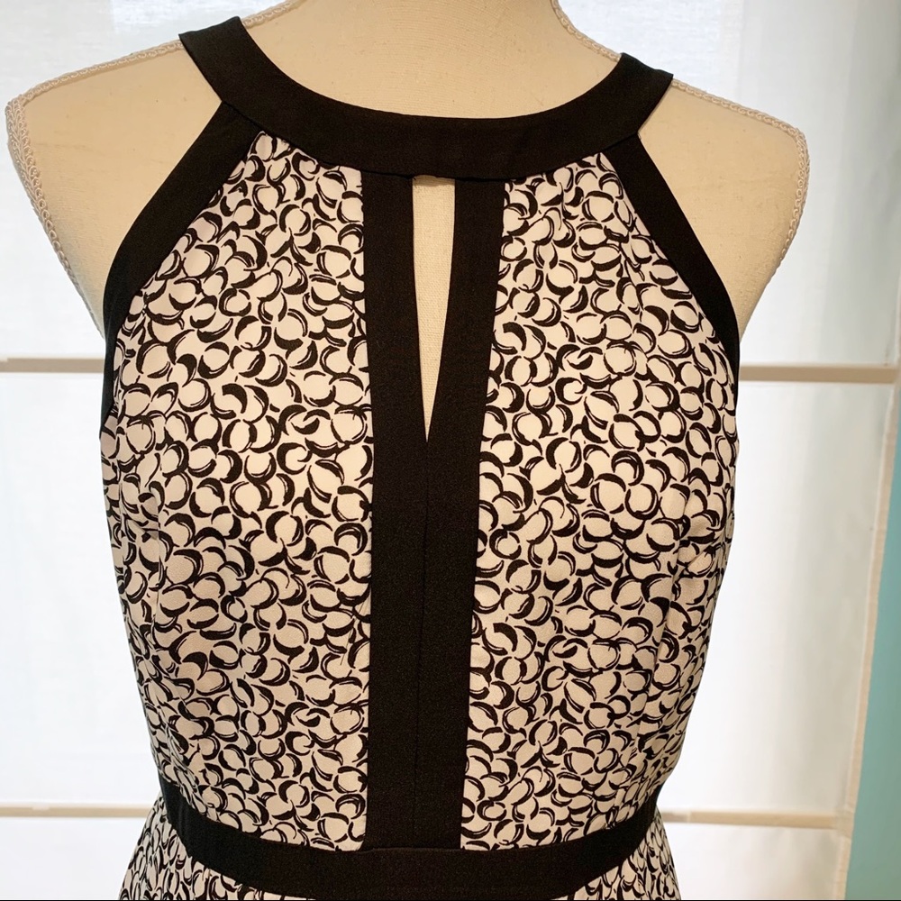 WHBM DRESS - Picture 6 of 6